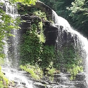 Meet your Posher, Marcie